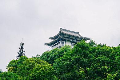 《WRC Generations》延期至11月3日发售 新预告发布